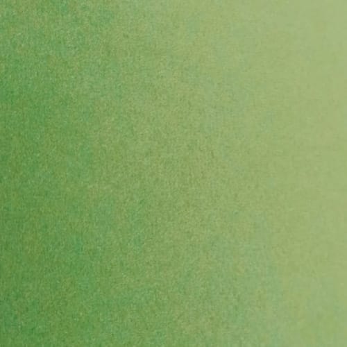 Green oasis Printed Suede Premium Fabric Cushion Cover  colour green